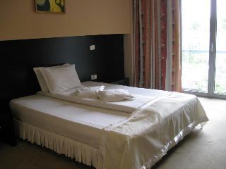 Hotel Delpack Timişoara