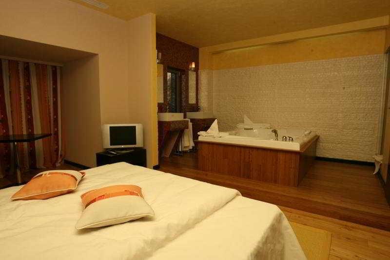 Hotel Delpack Timişoara